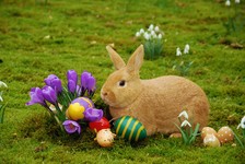 "Mit voller Energie in den Frühling!"