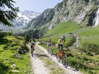 Baja Bikes: Dieses Jahr E-Mountainbike Touren in den Alpen