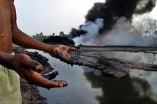 The Oil Show