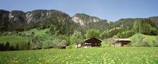 Urlaub am Bauernhof – in der Wildschönau erlebt man Tradition und bäuerliches Leben hautnah