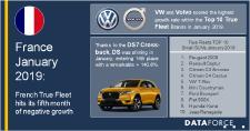 True Fleets with their fifth consecutive month of decline but January 2019 is in better shape