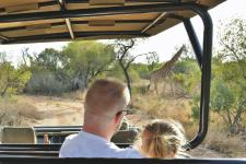 Neue Reisen durch Zimbabwe und Zambia