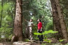 So vielfältig wie der Wald
