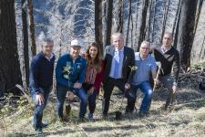 Helvetia unterstützt die Aufforstung des Schutzwaldes im Kanton Tessin