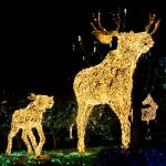 Afrikanische Handwerkskunst, eisgekühlte Getränke und Lichterglanz: Weihnachtsmärkte in Südafrika