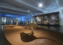 Freier Eintritt ins Museum Wiesbaden an jedem ersten Samstag im Monat - Natur in Bewegung