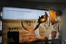 Museumslandschaft Mittelweser-Region