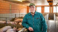 WLV-Präsident Beringmeier: "Für importierte Ferkel müssen im QS-System die gleichen Anforderungen gelten, die unsere Schweinehalter erfüllen"