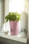Pflanzenaccessoires, die Freude bringen: Emsa Neuheiten in den Bereichen Flower Care