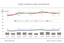 Expectations for larger world rapeseed harvest