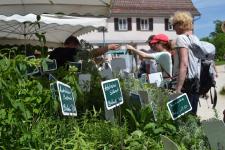 "Alte Sorten" beim GARTEN.GENUSS.MARKT. im Freilichtmuseum Beuren