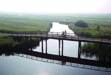 Grenzenloses Radfahren und eine Stadt auf Stelzen: Niederlande-Highlights im Sommer 2019