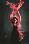 Premiere: Spanische Flamencovirtuosen PUERTO FLAMENCO zum ersten Mal in Heidelberg