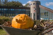 Halloween im Natureum