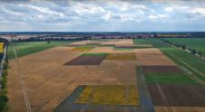 Vielfalt und Anbau auf kleinen Flächen für mehr Biodiversität und weniger Pestizide