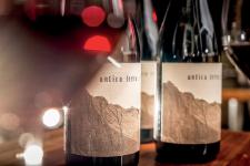 Wine & Dine mit Maggie Harrison im Pier 51