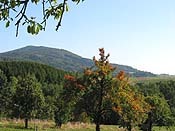 Bayerischer Wald