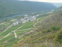 2500 Jahre in 10.000 Schritten: Weingut Alois Schneiders lädt ein zur Historien-Wanderung rund um Pommern