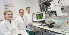 Bislang unbekannter Mechanismus zur Behandlung von Bluthochdruck entdeckt