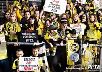 Entscheidend ist nicht nur auf'm Platz! - BVB-Fans protestieren gegen grausame Hundetötungen in der Ukraine