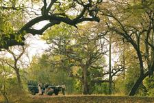 Safari6 in den Singita Game Reserves