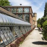 Vom fürstlichen Garten zur Oase in der Stadt / Führung am Sonntag