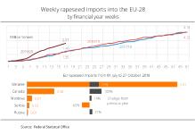 Small rapeseed harvest is pushing up imports
