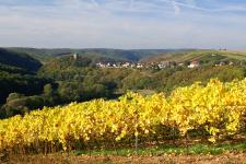 Auf den Spuren der Grafen von Sponheim