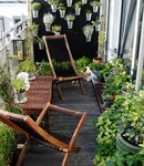 Frisches Gemüse vom Balkon
