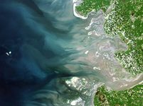 Nachhaltige Küstenschutzstrategien im Wattenmeer
