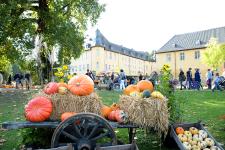Schlossherbst: der traditionelle Herbstmarkt auf Schloss Dyck lockt mit regionaler Vielfalt und Unterhaltung für die ganze Familie