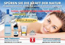 Entzündungen - der versteckte Feind in unserem Körper