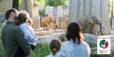Dreiviertel der Deutschschweizer befürworten Zoos