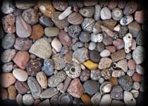Strandsteine zum Anfassen im MEERESMUSEUM mit Rolf Reinicke