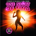 One Night of Tina