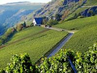 Riesling-Sommerfest auf Gut Hermannsberg