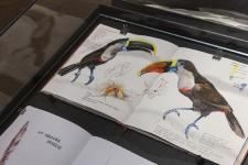 Präsentation anlässlich Ausstellungsende zeigt Zeichnungen von Besuchern