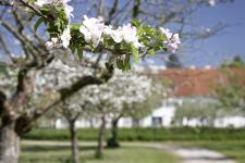 Schleißheimer Schlossbrände: Die Brennsaison startet