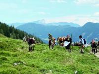 Almabtrieb im Berchtesgadener Land