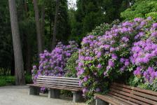 Botanischer Garten München-Nymphenburg weiterhin geschlossen