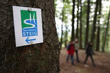Durch Bewegung Ruhe finden: Tipps für Winterwanderungen
