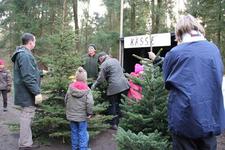 Tannenbaum, so grün sind deine Blätter!