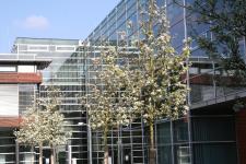 Berufsbegleitendes Masterstudium: Bewerbungsphase für das MBA- Fernstudienprogramm startet am 3. Mai