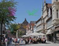 Alter Falter, beflügelt durch die Hamelner Altstadt ...