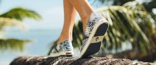 Das blaue Wunder aus Hawaii
