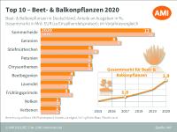 Zierpflanzenmarkt 2020 - Trotz Corona-Pandemie gewachsen