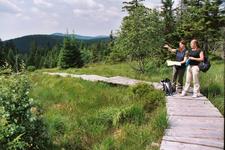 Wanderwege an der Hohne im Nationalpark Harz am 9.5.2014 kurzfristig gesperrt
