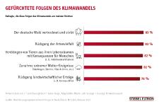 Umfrage: 83% der Deutschen haben Angst, dass der Wald als Klimawandel-Folge stirbt