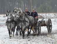 Geschütze aus mehreren Jahrhunderten
