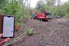 Massiver Holzeinschlag im FFH-Gebiet "Lindholz"